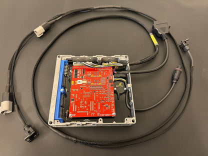 LINK ECU Expansion Loom inkl. Sensoren Nissan Skyline R32-R34 - UMC-Parts.de